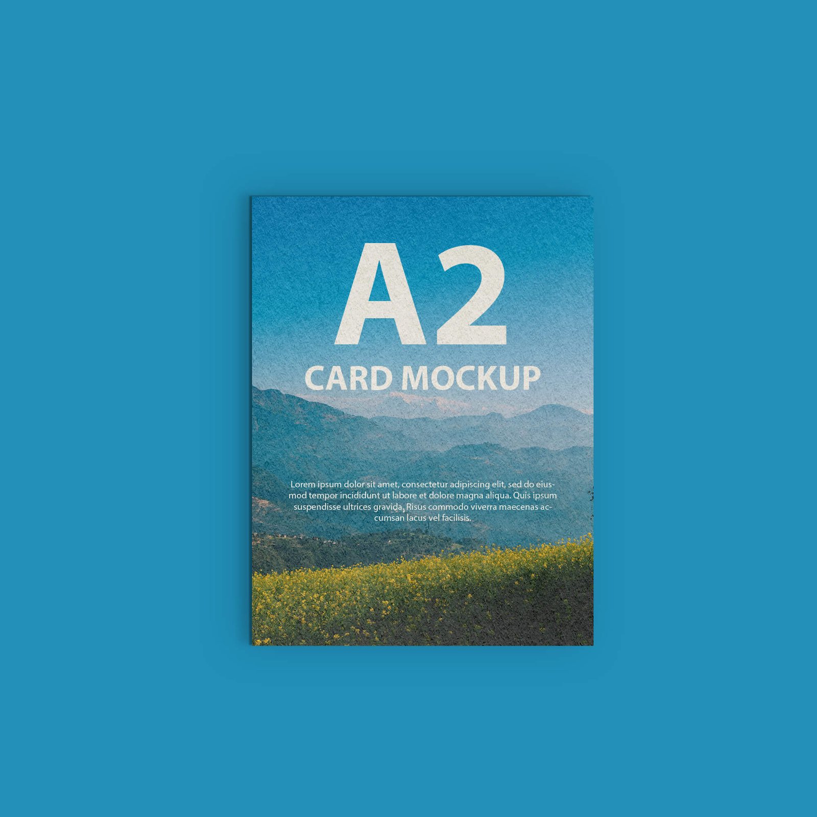 Design Free A2 Card Mockup Template