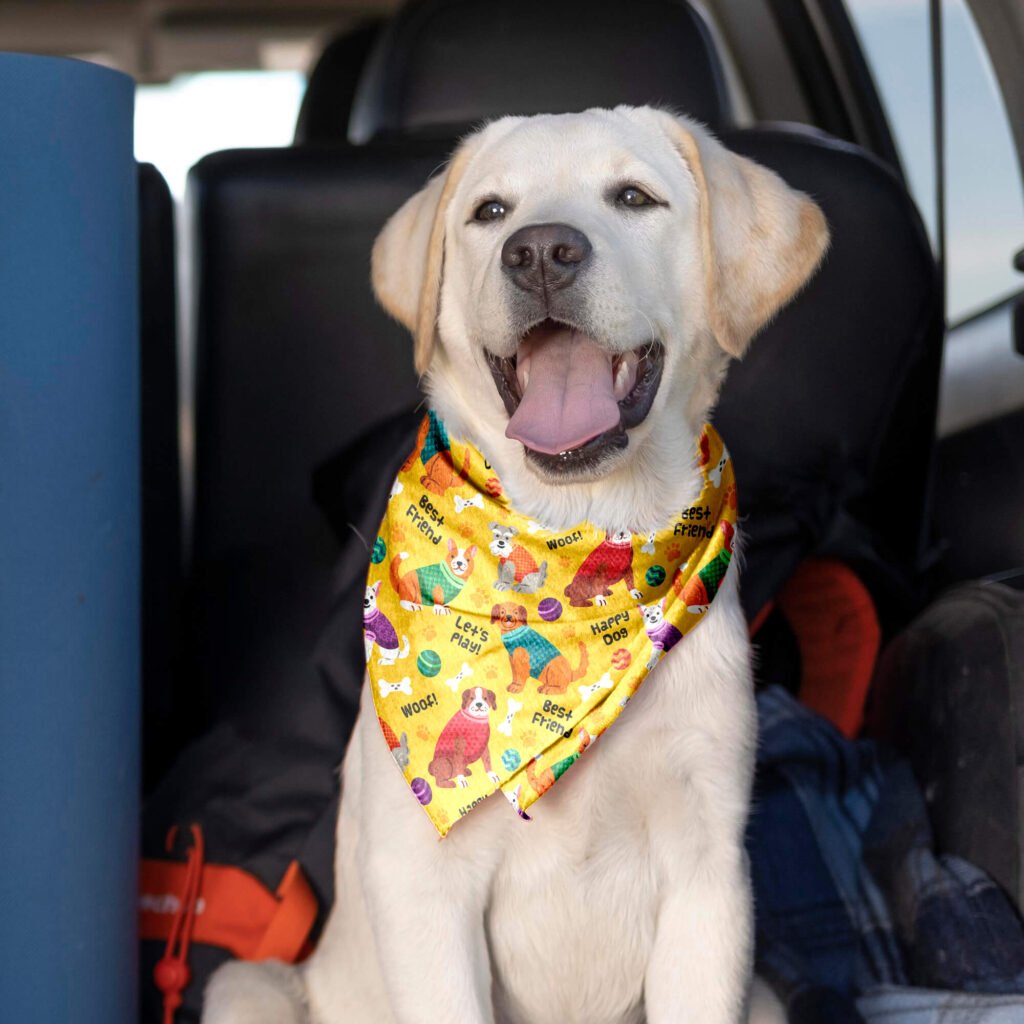 Download Free Dog Bandana Mockup PSD...