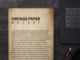 Download 135 Best Free Paper Books Psd Templates Mockupden