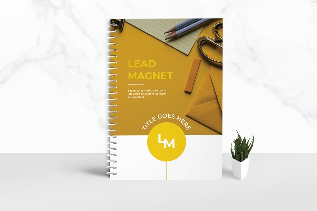 Lead Magnet Workbook Template (1)