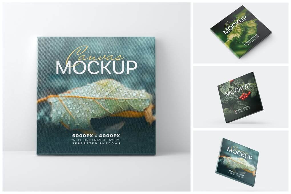 Square Canvas Mockup Set