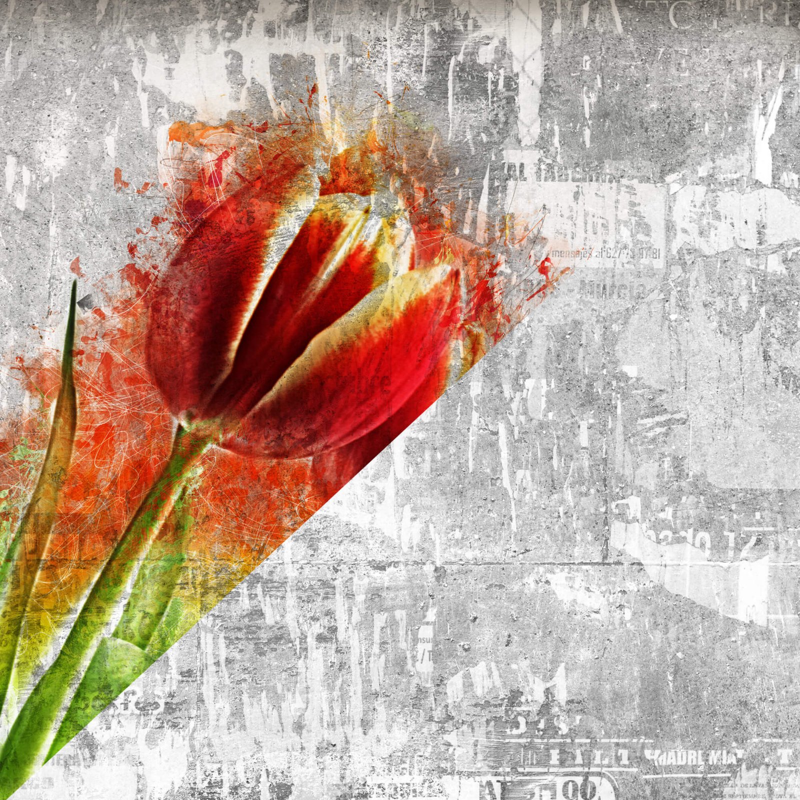 31+ Beautiful Art on Wall Mockup PSD Templates Mockup Den