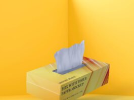 Free Box With Tissue Paper Mockup PSD Template