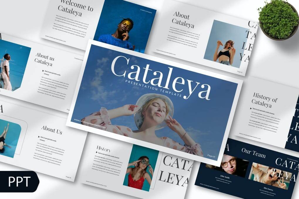 Cataleya Powerpoint Template