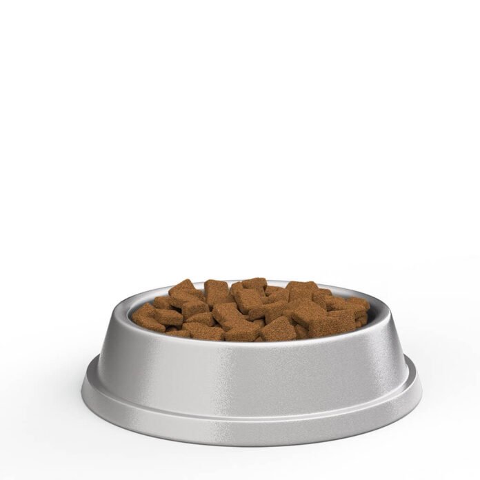 Free Dog Bowl Mockup PSD Template