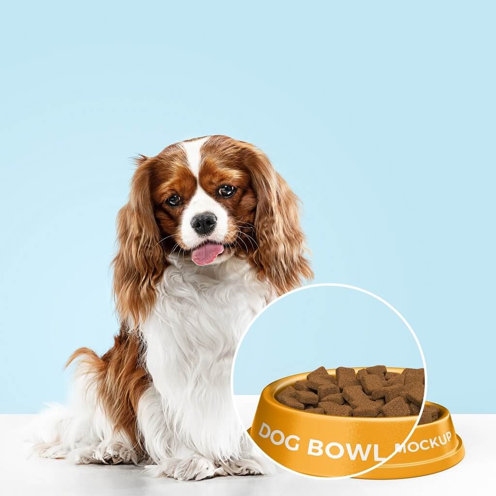 Close Up Of a Free Dog Bowl Mockup PSD Template