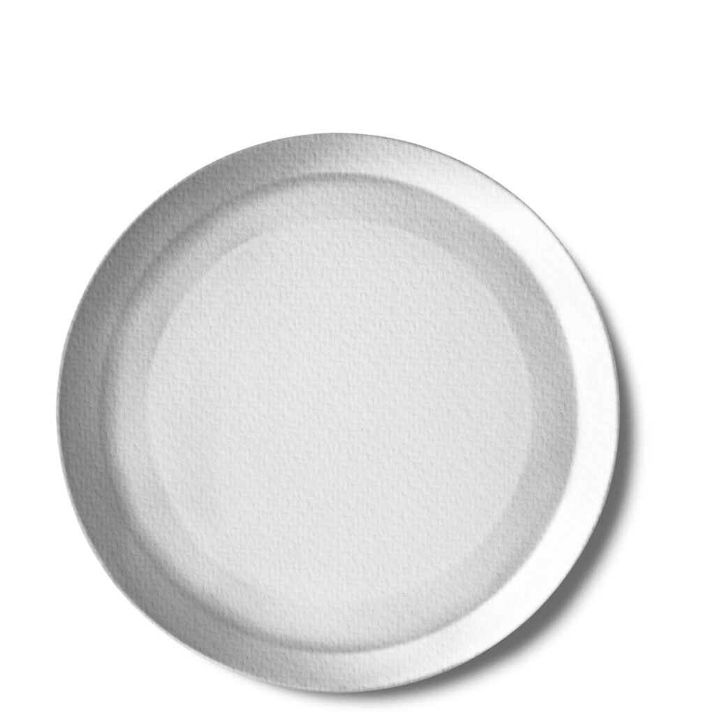 Blank Free Paper Plate Mockup PSD Template